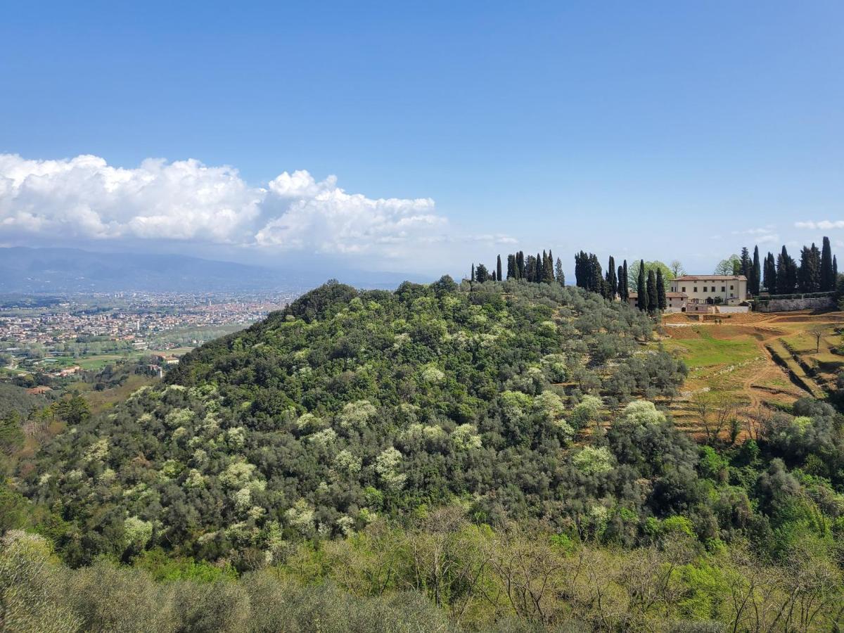 Villetta Farfallina "The Unique Property In The World With An Openable Roof" Lucques Extérieur photo